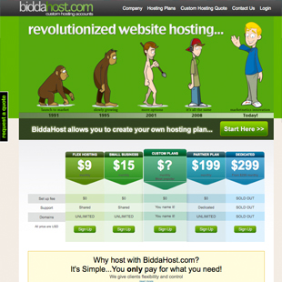 Custom Website Design Portfolio