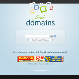 Custom Website Design Portfolio