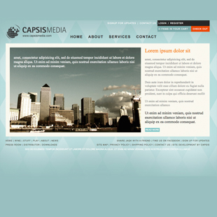 Custom Website Design Portfolio