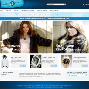 Custom Website Design Portfolio