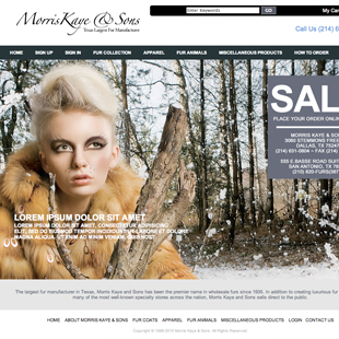 Custom Website Design Portfolio